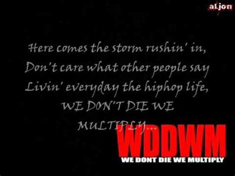 wddwm lyrics